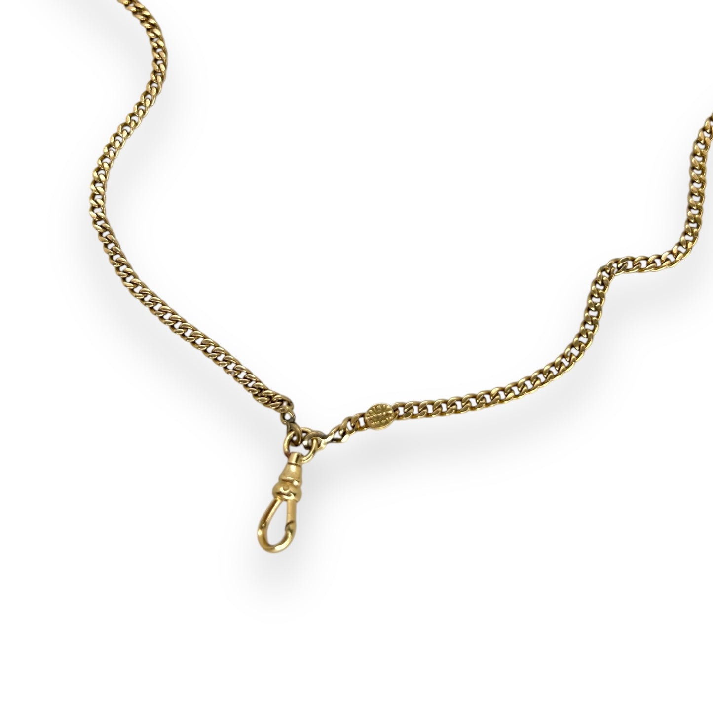 Antique 1910s Curb Chain + Dog Clip